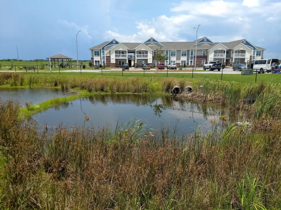 A pond in front of some houses on the grass.
